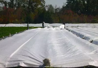 AGROFIBRA AGROEL (ROSSIYA)