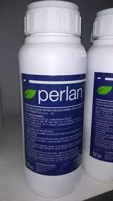 Регулятор роста растений Perlan