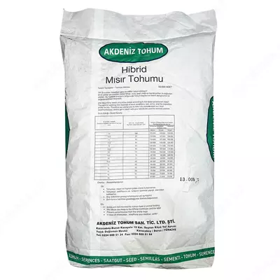 Gibrid makkajo'xori urug'i