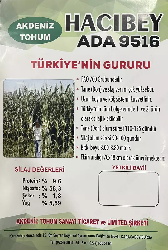 Семена кукурузы HYBRID АКТ-2690