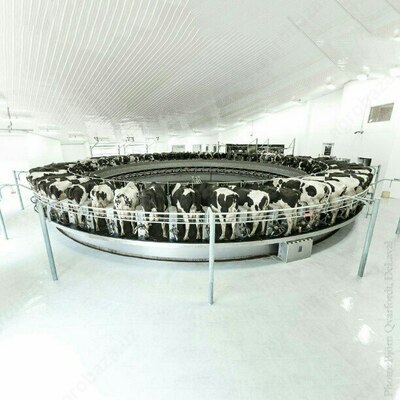 Sog'ish zali (Karusel)