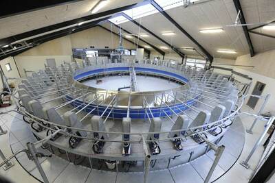 Sog'ish zali (Karusel)