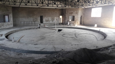 Sog'ish zali (Karusel)