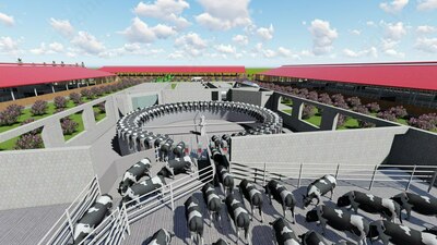 Sog'ish zali (Karusel)