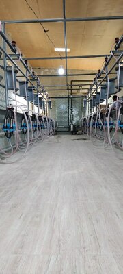 Sog'ish zali (Yolochka)