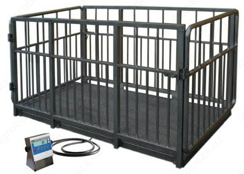 Тарози корамоллар учун