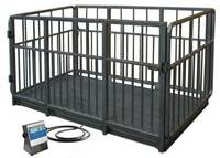 Тарози корамоллар учун