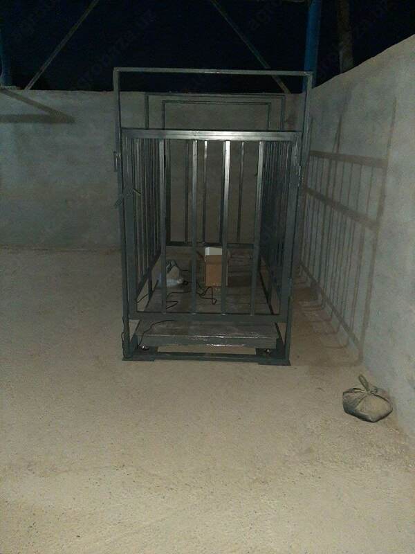 Тарози корамоллар учун