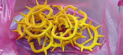 Burunga halqa (Sigir o'zini emib qo'ymaslik uchun)