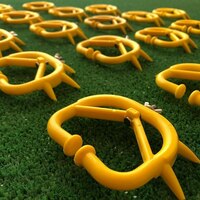 Burunga halqa (Sigir o'zini emib qo'ymaslik uchun)