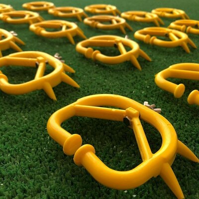 Burunga halqa (Sigir o'zini emib qo'ymaslik uchun)