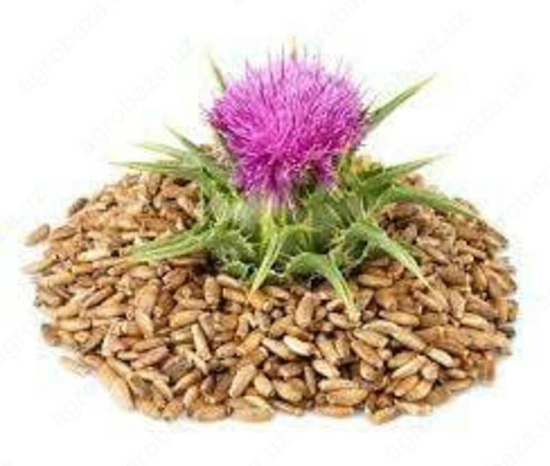 Растаропша