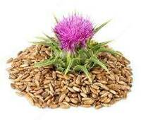 Растаропша