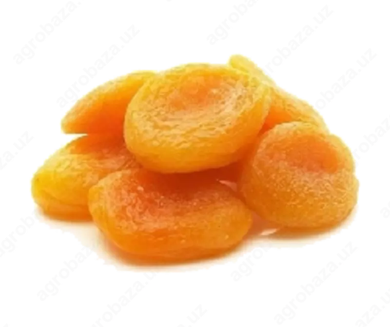 Quritilgan O'rik Subhan