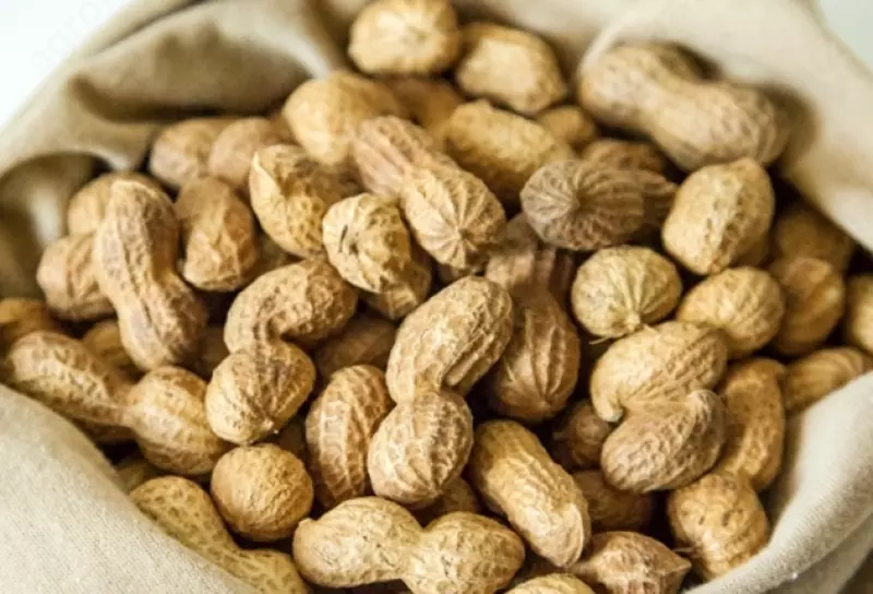 Qobiqdagi yeryong'oq