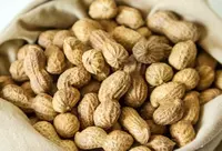 Qobiqdagi yeryong'oq