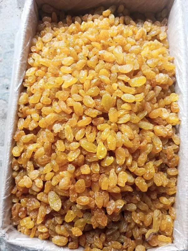 Изюм Голден