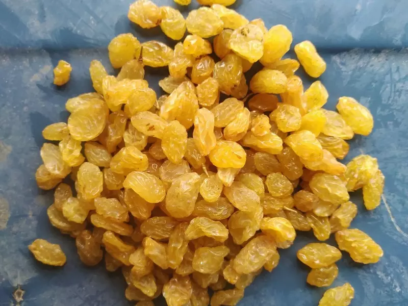 Изюм Голден