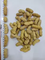 Qobiqdagi yeryong'oq