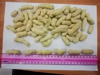 Qobiqdagi yeryong'oq