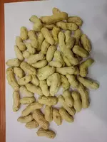 Qobiqdagi yeryong'oq