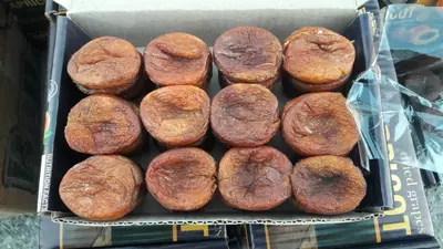 Quritilgan o'rik organik