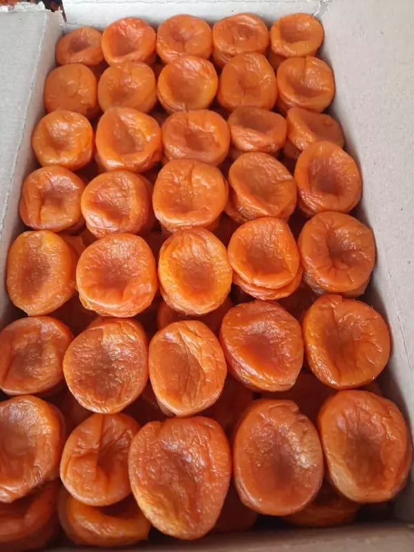 Quritilgan O'rik Subhan