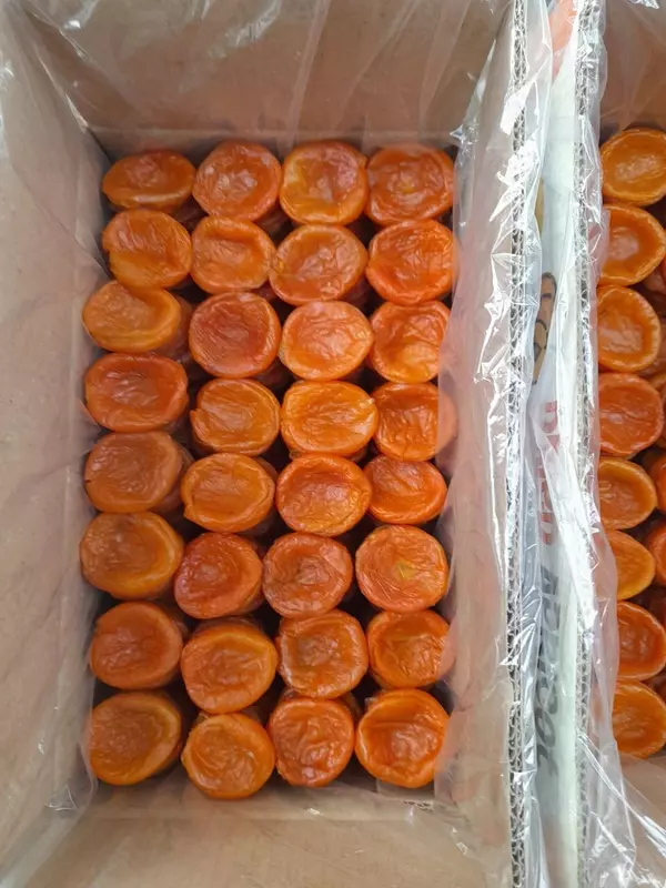 Quritilgan O'rik Subhan