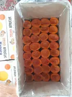 Quritilgan O'rik Subhan