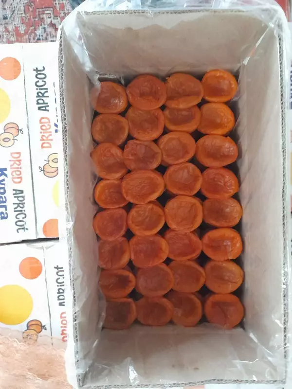 Quritilgan O'rik Subhan