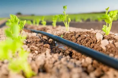 Tomchilatib yuborish trubkasi 16-22 mm