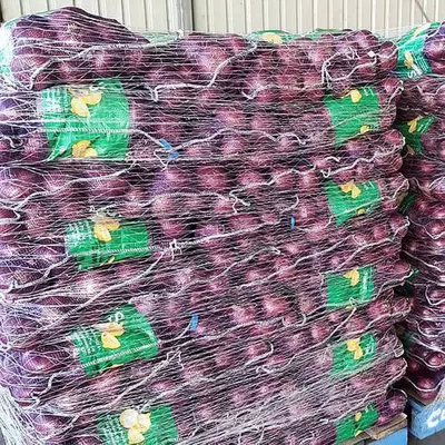 Паллетная сетка