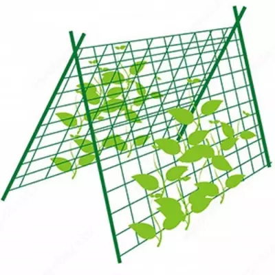Шпалерная сетка ( сетка для огурцов)