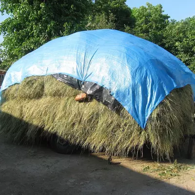 Tent 180 гр/м2