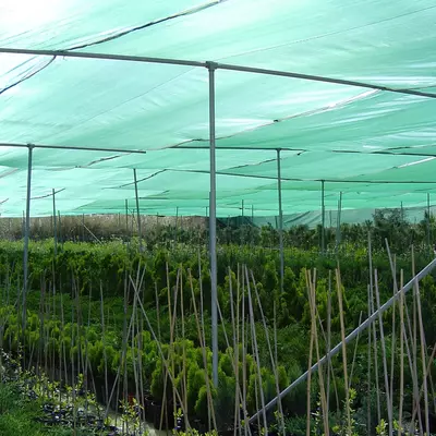 Затеняющая сетка 55% (рулонами)