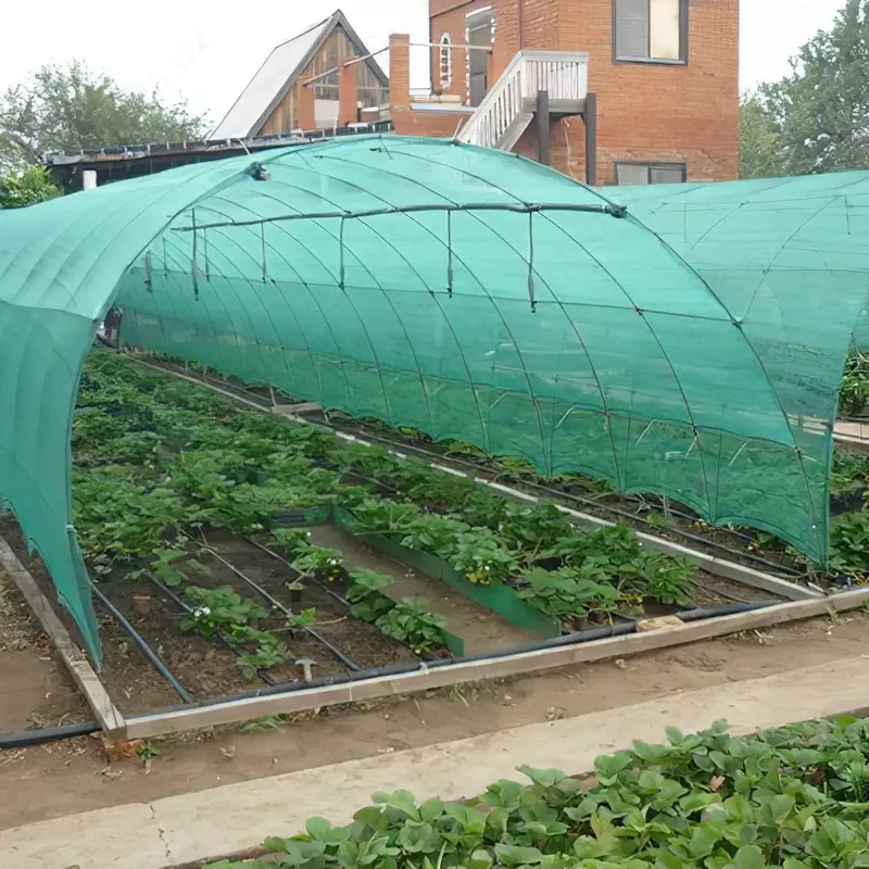 Затеняющая сетка 55% (рулонами)