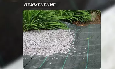 Agrofabrik qadoqlangan