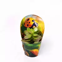 КАКТУС С КРЫШКОЙ НА НАСЕКОМЫХ D3, 5