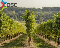 Опорные деревянные конструкции