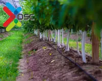 Bog'lar uchun sug'orish tizimlari