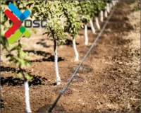 Bog'lar uchun sug'orish tizimlari