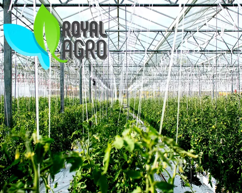 Современные теплицы