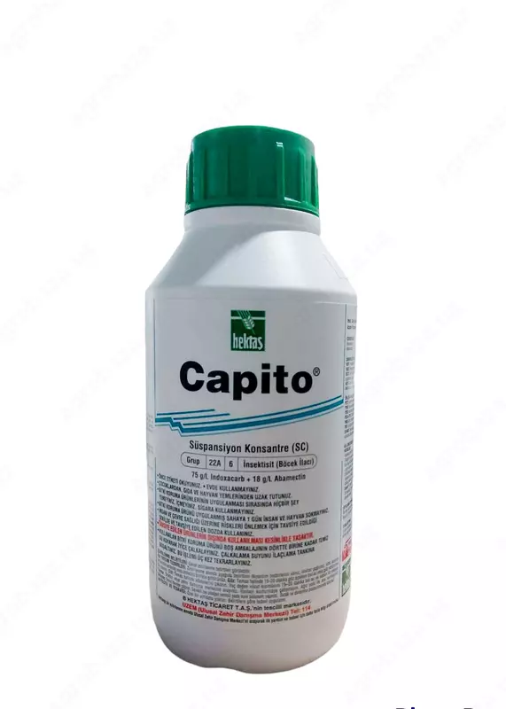 CAPITO (insektitsid)