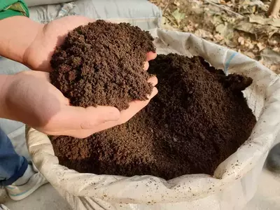 Biogomus va Kaliforniya qizil chuvalchanglari