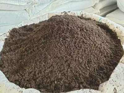 Biogomus va Kaliforniya qizil chuvalchanglari