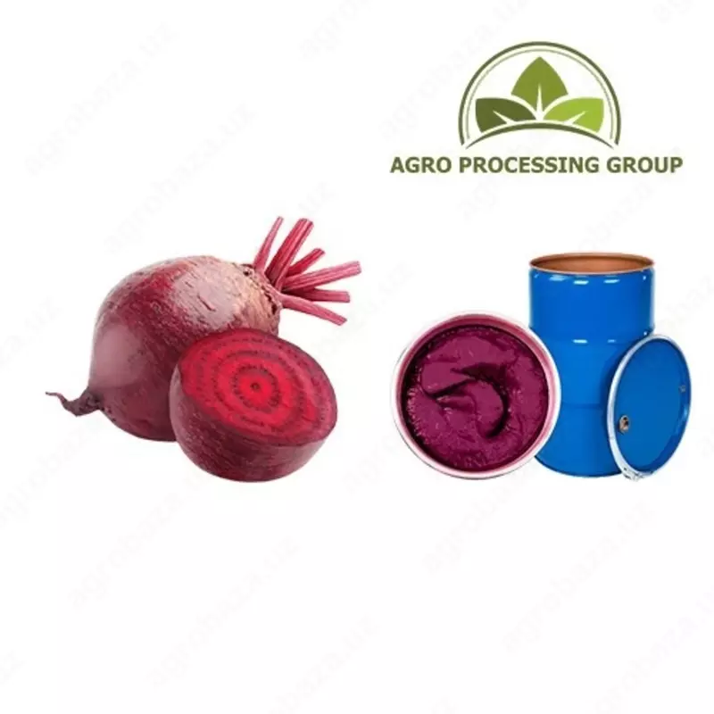 Konsentrlangan pyuresi, sabzavot va meva konsentratlari