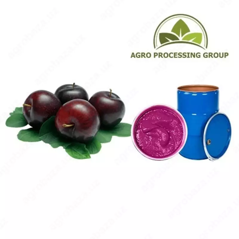 Konsentrlangan pyuresi, sabzavot va meva konsentratlari