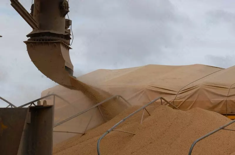 Соевый шрот