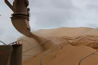 Соевый шрот