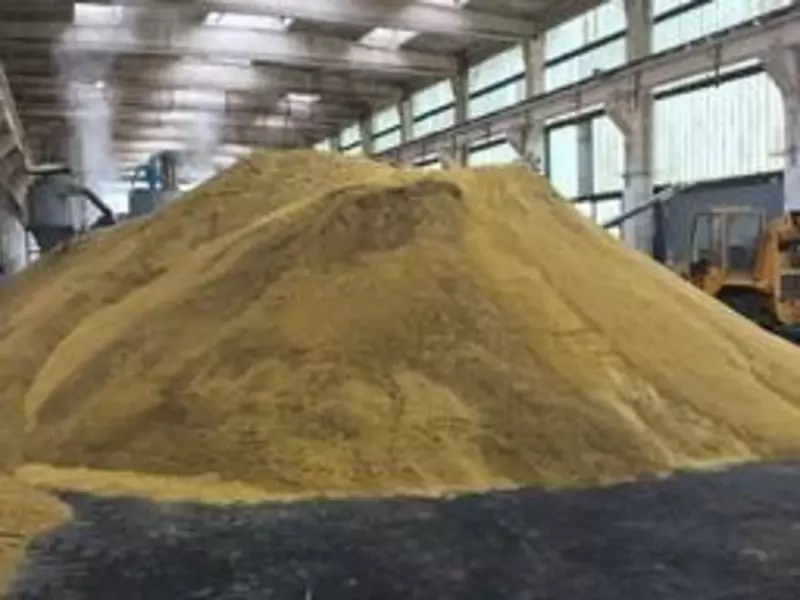 Соевый шрот